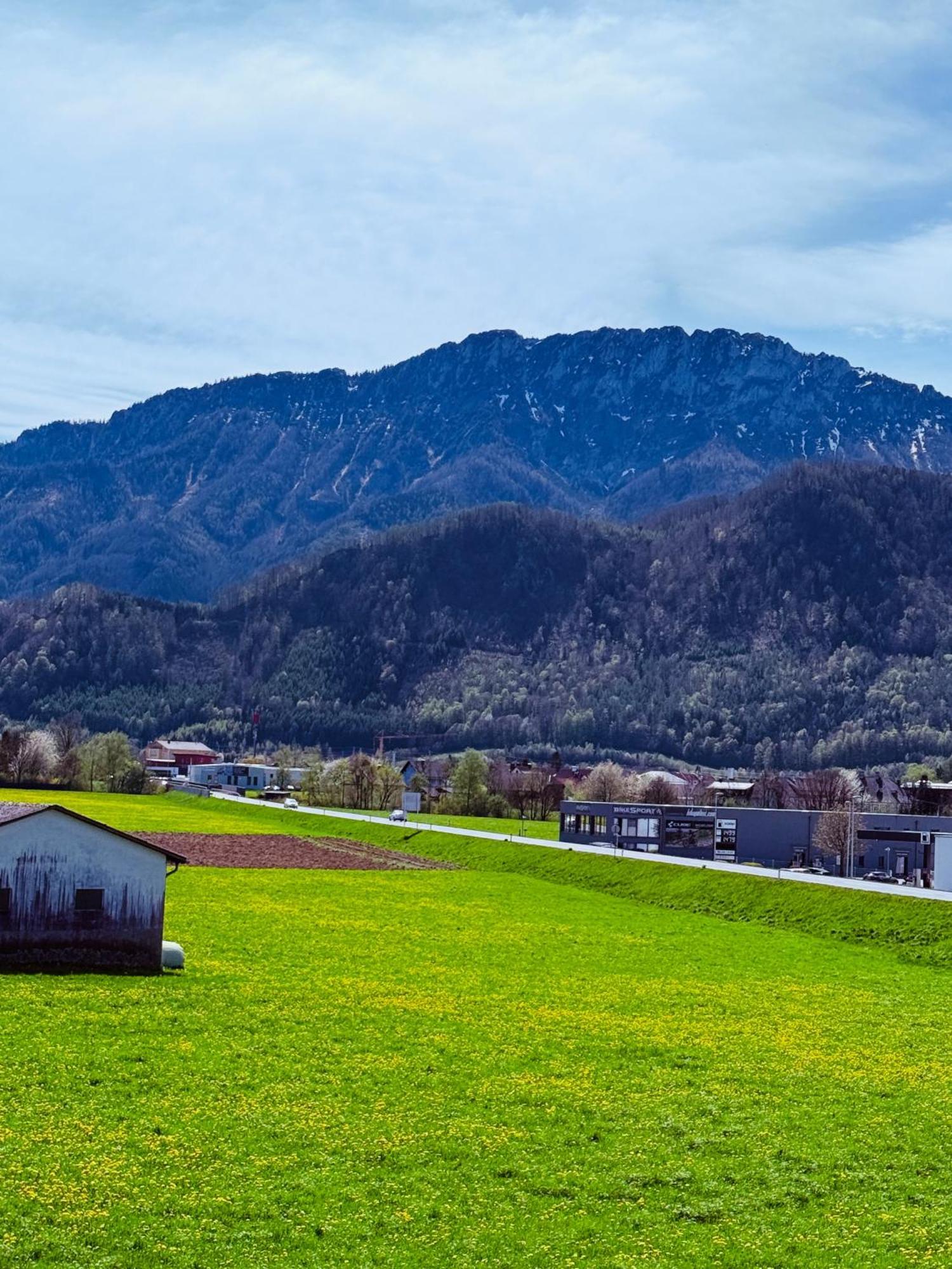 Zentrale Wohnung Mit Alpenblick Micheldorf in Oberösterreich Kültér fotó